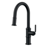 Kinzie- Pull-Down Kitchen Faucet